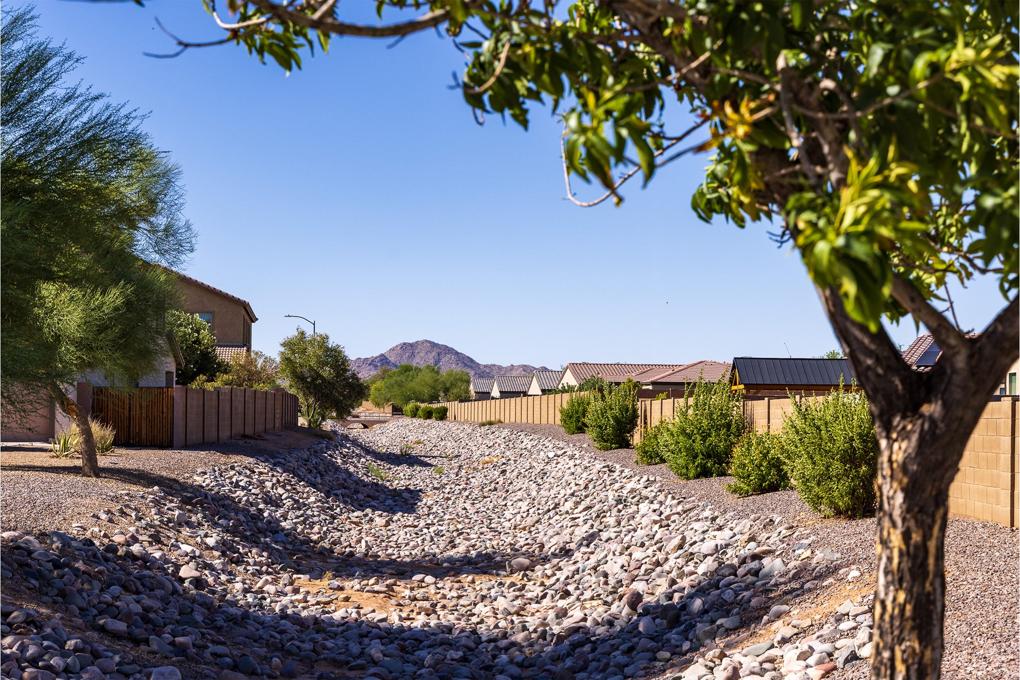 Explore McCartney Center —Luxury New Homes in Casa Grande AZ