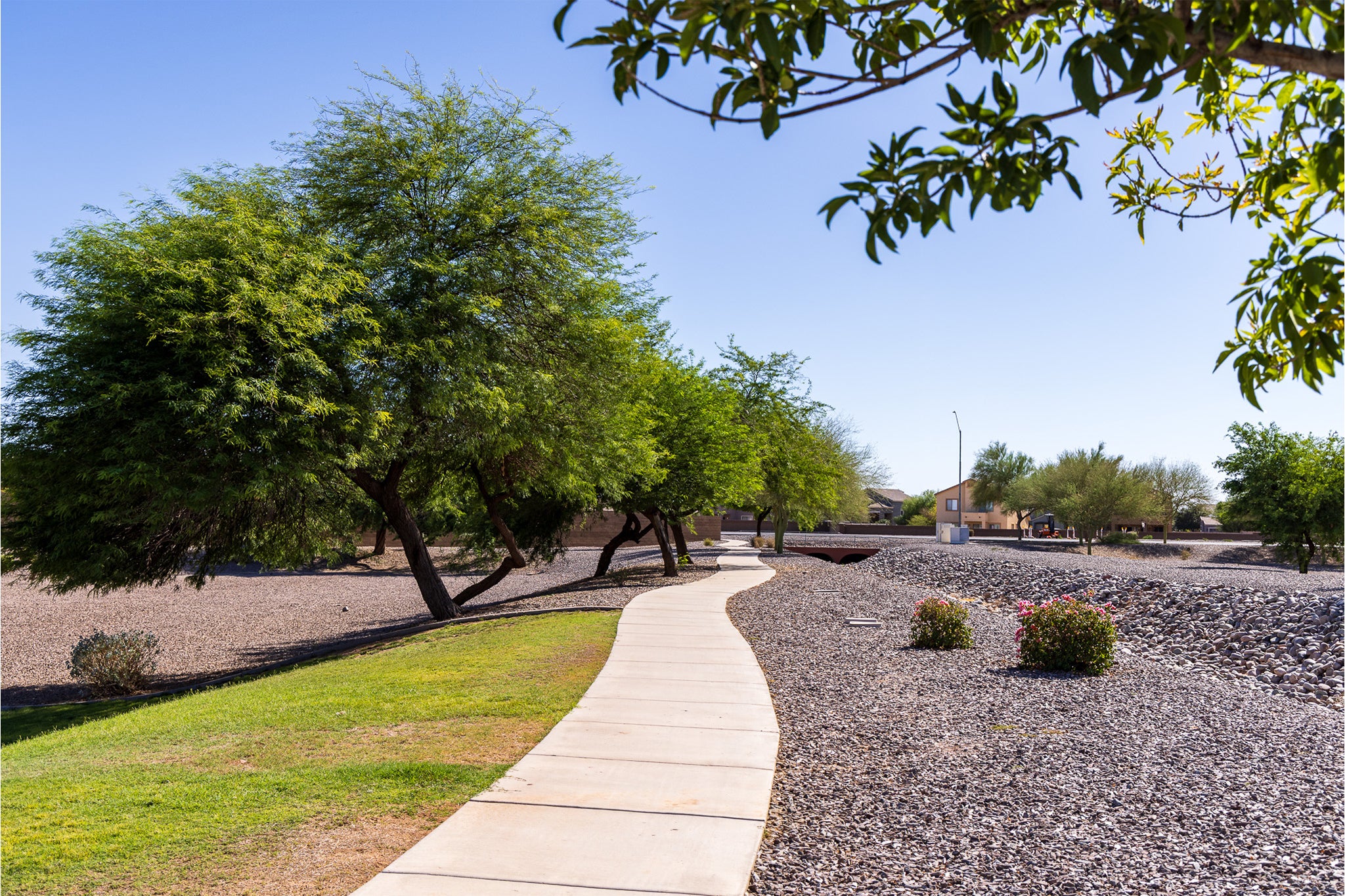 Explore McCartney Center —Luxury New Homes in Casa Grande AZ